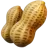花生