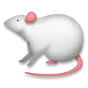 老鼠