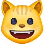 Grinning Cat