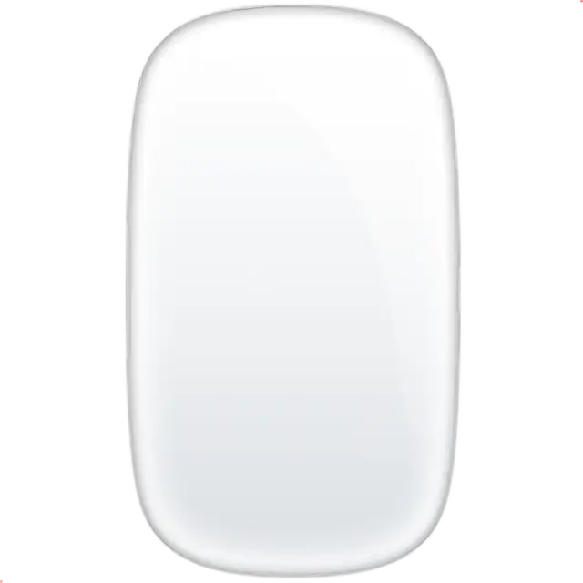 Computer Mouse