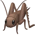 Cricket